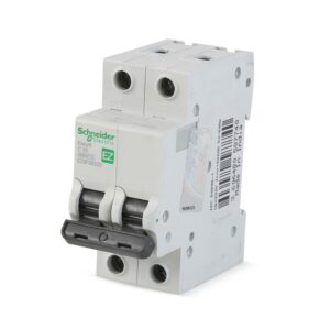 INTERRUPTOR TERMOMAGNETICO 2X20A 10KA 220V CURVA C TIPO EASY9