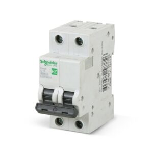 INTERRUPTOR TERMOMAGNETICO 2X10A 10KA 220V CURVA C TIPO EASY9